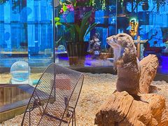 -昆明大悦城未来动物城(螺蛳湾中心店)
