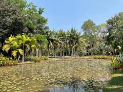 -中国科学院西双版纳热带植物园