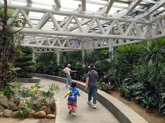 -石家庄市植物园