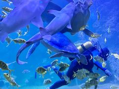 -左海海底世界