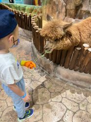 -宝燕乐园(闵行旗舰店)