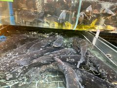 -老阿爸鲜鱼土菜(昆山花桥店)