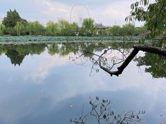 -无锡蠡湖国家湿地公园-蠡园