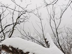 -秦岭风景区