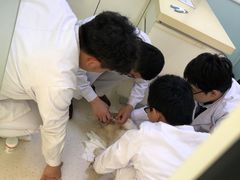 -全心全意连锁动物医院(加州店)