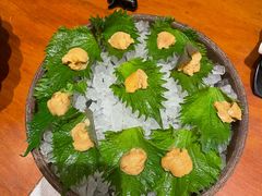 -月龍吟(朝龙汇店)