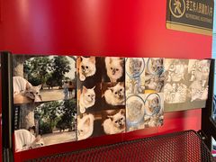 -H立方实景剧情密室(天河旗舰店)