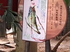 -龙达温泉生态城