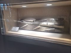 -辽宁古生物博物馆
