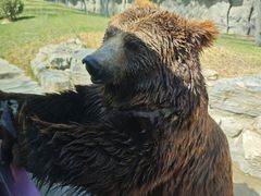 -北京野生动物园