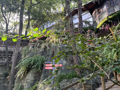 -巴倒烫陆派重庆火锅(南山店)
