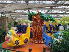 -南宫五洲植物乐园