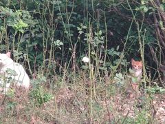 -思念果岭悦温泉