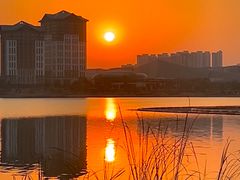 -九龙湖公园