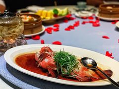 野生红瓜子斑-皇朝会.经典传统粤菜(外滩店)