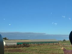 -威勒比开放式动物园