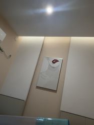 -成都苗方清颜专业祛痘