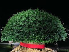 -海南清水湾莱佛士酒店