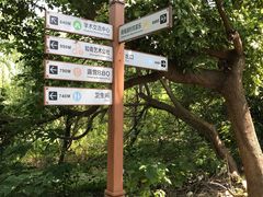 -同里国家湿地公园
