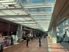 -香港大学