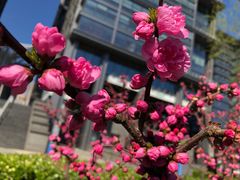 -多乐之日(五道口店)