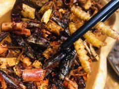 -老滇山寨•云南特色菜•地方菜•民族风情歌舞表演(金碧店)