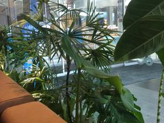 -gaga(深圳福田星河COCO Park店)