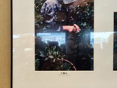 -伊藤久右卫门(宇治本店)