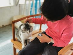 -喵屿·大理花园猫咖