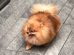 -龙湖重庆时代天街