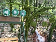 -秘境石崮寨