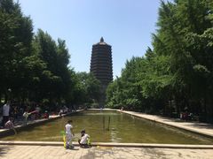 -玲珑塔公园