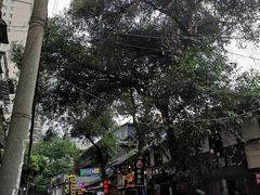 -十一街苍蝇馆子转经消江湖菜(九眼桥十一街店)