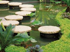 -深圳仙湖植物园