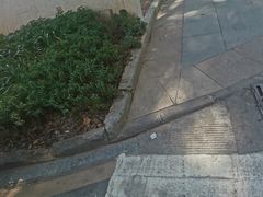 -华农酸奶文化馆