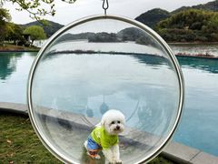 -宁波九龙湖开元度假村
