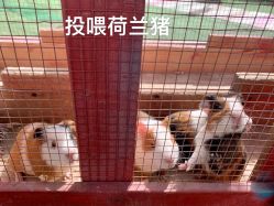 -萌宠亲子动物乐园(槐房万达店)