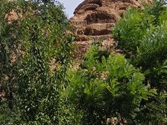 -红山国家森林公园