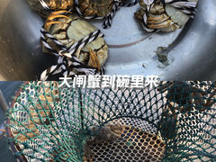 -阳澄湖半岛旅游度假区