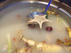 -千岛蚝高压锅生蚝·人参火锅(白云万达店)