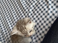 -太原东方动物医院(小店分院)