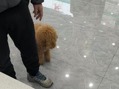 -安安宠医·臻爱宠物医院·宠保定点(营门口路分院)