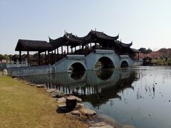 -上海海湾国家森林公园