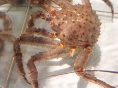 -悦港(悦港酒店)