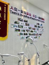 -悟空祛痘·诺奖技术专业店