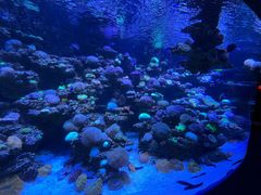 -太平洋海底世界