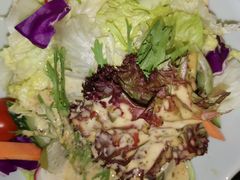 蔬菜色拉-新南华大酒店(广中店)