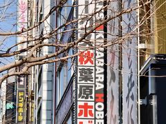-秋叶原电器街