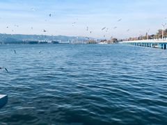 -海埂大坝