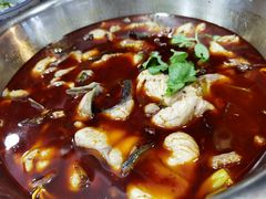 土鲢鱼-云溪河冷锅鱼(成都玉林小吃街店)